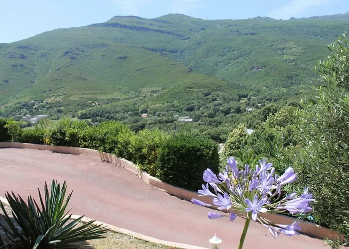 Hébergement de vacances Carolina